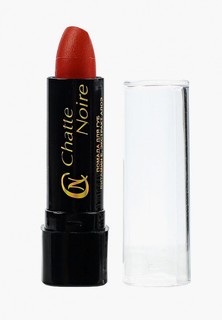 Помада Chatte Noire №К 4.01 морковь эмаль 4 г