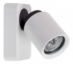 Спот Астор 545020401 Mw Light