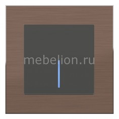 Выключатель проходной одноклавишный с подсветкой Aluminium (Серо-коричневый) WL07-SKGSC-01-IP44+WL07-SW-1G-2W-LED Werkel