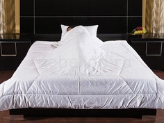 Одеяло полутораспальное Feng-shui Primavelle