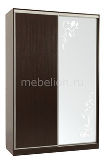 Шкаф-купе Гранд 1-600 цветы Mebelson