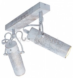 Спот Kleio 1283/2A J Light