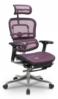 Кресло компьютерное Ergohuman Plus Legrest Comfort Seating