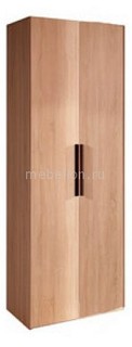 Шкаф платяной Баухаус-8 Глазов Мебель