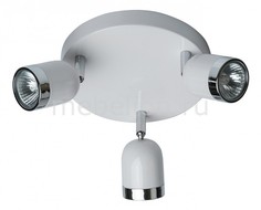 Спот Орион 1 546020703 Mw Light