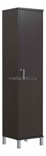 Шкаф платяной Skyland Born B 702.2