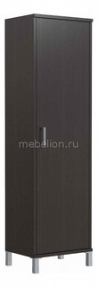 Шкаф платяной Skyland Born B 703.1