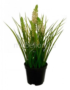Растение в горшке (28 см) Лаванда 58021700 Home Religion