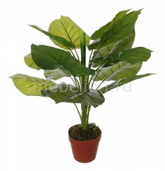 Растение в горшке (63 см) Потос 58008600 Home Religion