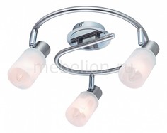 Спот Cavalletta A4510PL-3SS Arte Lamp