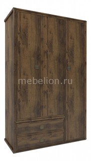 Шкаф платяной Magellan 3DG2S Анрэкс