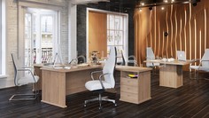 Гарнитур для руководителя Raut Skyland