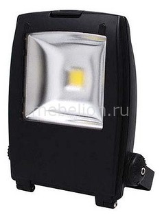 Настенный прожектор HL172L 068-002-0030 COB LED Черный Horoz