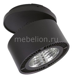 Спот Forte 214847 Lightstar