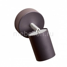 Спот Eye Spot Graphite 6134 Nowodvorski