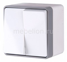Выключатель двухклавишный влагозащищенный a036774 Werkel