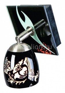 Спот OM-223 OML-22311-01 Omnilux