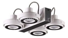 Спот Satelium 3490/4C Odeon Light