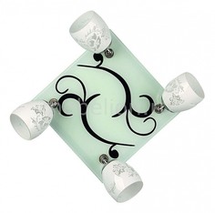 Спот OM-223 OML-22302-04 Omnilux