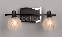 Спот OM-218 OML-21801-02 Omnilux