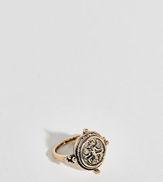 Большое кольцо с гравированным скарабеем Uncommon Souls - Золотой