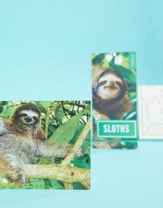 Инструкции по уходу за ленивцем Gift Republic Adopt a Sloth - Мульти