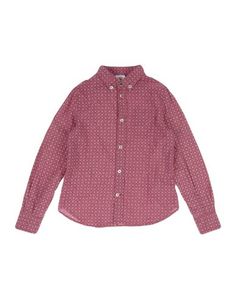 Pубашка Dondup Dking