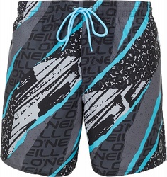 Шорты пляжные мужские ONeill Sunstroke Oneill