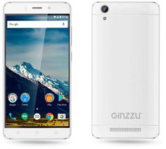 Смартфон GINZZU S5021, белый