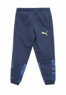 Брюки спортивные PUMA PUMA Hero Pants TR cl