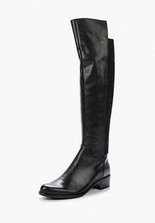 Ботфорты Accord