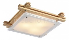 Накладной светильник Archimede A6460PL-3BR Arte Lamp