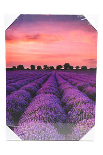 Холст "Лавандовое поле закат" Ecoramka