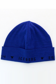 Категория: Шапки Iceberg