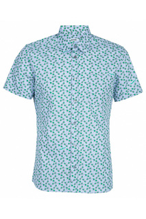 Категория: Рубашки мужские Moschino