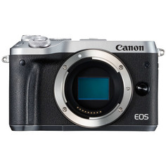 Фотоаппарат системный премиум Canon