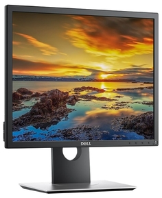 Монитор Dell P1917S (черно-серебристый)