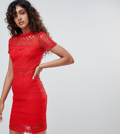 Кружевное платье-футляр с короткими рукавами Parisian Tall - Красный