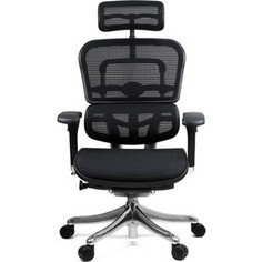 Кресло эргономичное Comfort Seating Group EHPE-AB-HAM (Д) KMD-31 ergohuman plus elite black