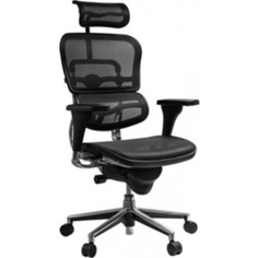 Кресло эргономичное Comfort Seating Group EHS-HAM W09-01 ergohuman standart black