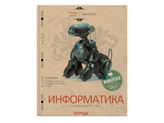 Тетрадь Феникс+ А5+ 48л Информатика 27111