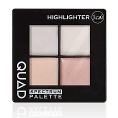 J. CAT BEAUTY Палетка хайлайтер для лица QUAD 101 Highlighter 6 г