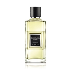 GUERLAIN Homme LEau Boisee Туалетная вода, спрей 50 мл