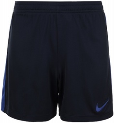 Шорты для мальчиков Nike Dry Academy