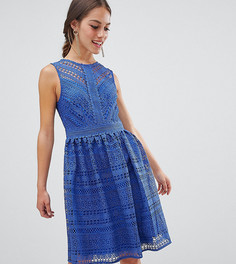 Кружевное приталенное платье миди для выпускного Little Mistress Petite - Синий