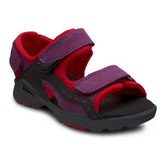 Сандалии BIOM SANDAL Ecco