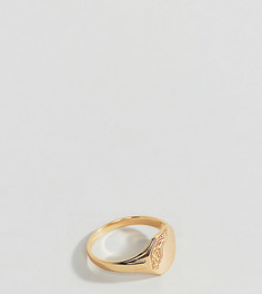 Кольцо на мизинец из позолоченного серебра с рисунком Rock N Rose - Золотой