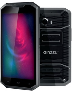 Мобильный телефон Ginzzu RS96D (черный)