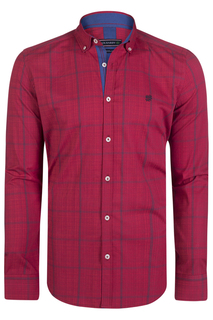 Shirt FELIX HARDY