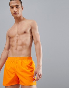 Категория: Шорты пляжные Speedo